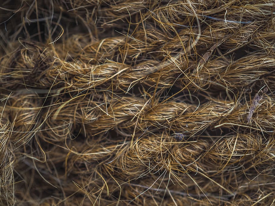 hemp, rope, fixing, woven, cordage, sisal, fiber, rau, connection, knitting