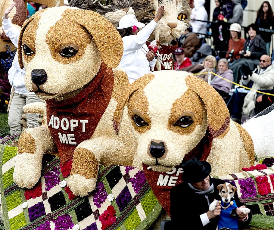 parade, float, dogs, floral, rose parade, street, colorful, flower, crowds, event