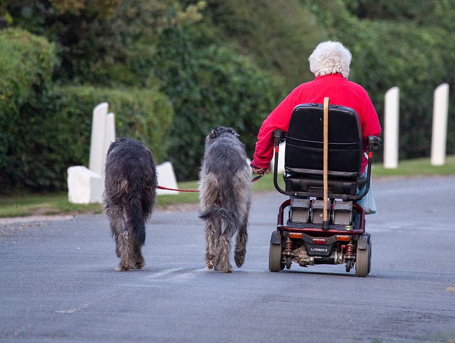 dog walking, old lady and wolf hound, wolfhound, dogs on leads, mobility scooter, countryside, road, rural, country, highway