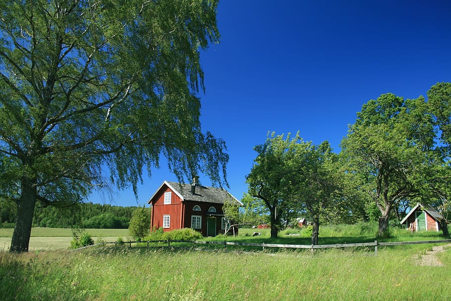 Suecia, cielo azul, paisaje, árbol, planta, arquitectura, estructura construida, edificio, exterior del edificio, casa
