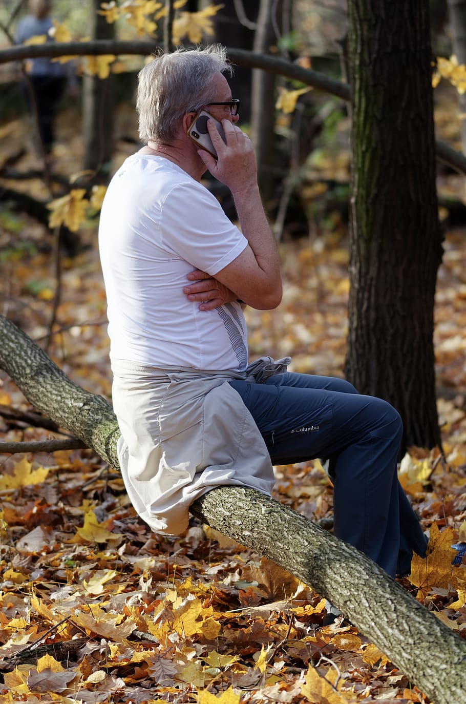 man, age, adult, autumn, t-shirt, white, placed, trunk, tree, forest