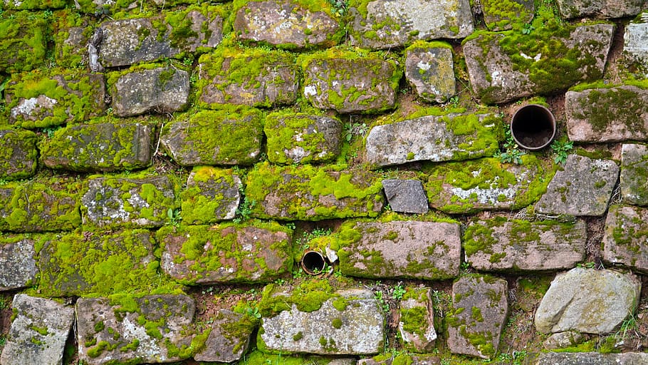 wall, sand stone, moss, masonry, stone wall, green, old, weathered, fouling, natural stone