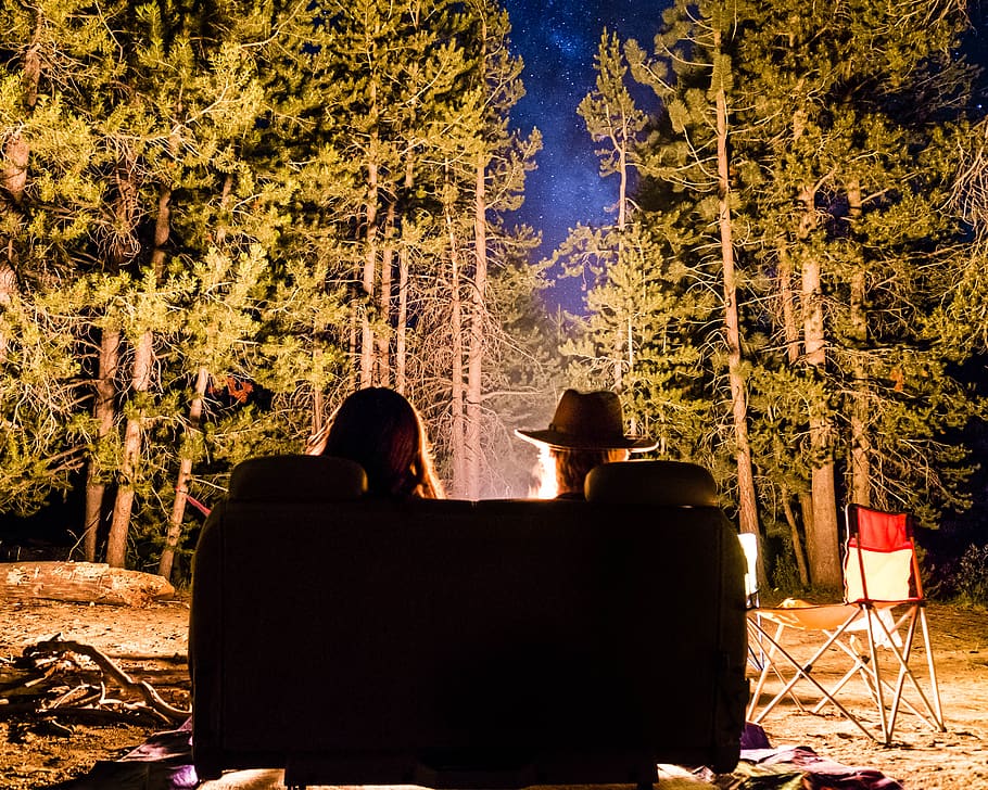 people, friends, date, night, bonfire, couch, green, trees, plant, nature