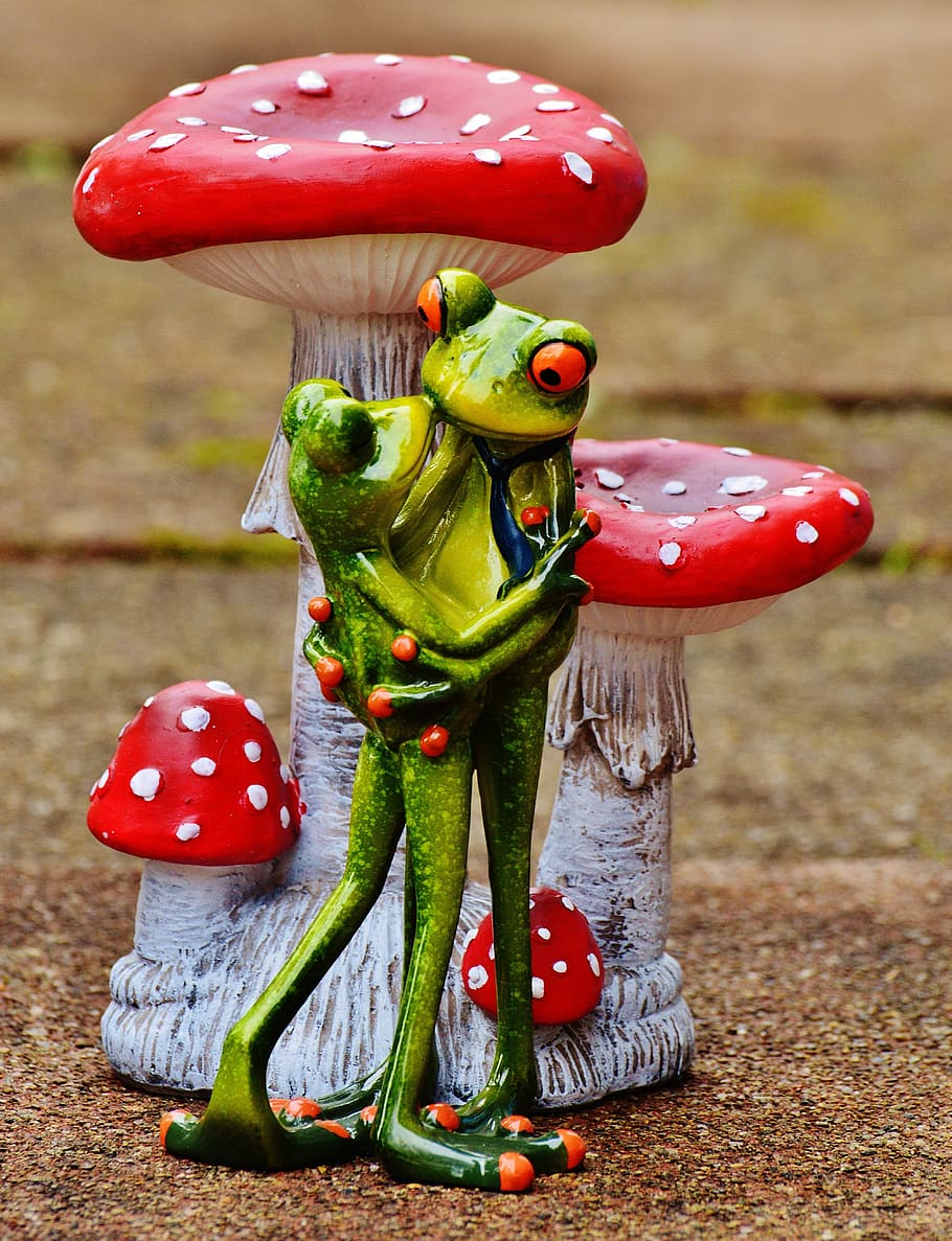valentine's day, love, frogs, pair, kiss, together, figure, mushrooms, greeting card, funny