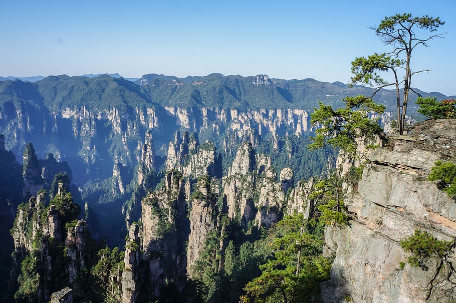 mountains during daytime, China, National Park, Zhangjiajie, mountain, tree, travel destinations, nature, mountain range, plant
