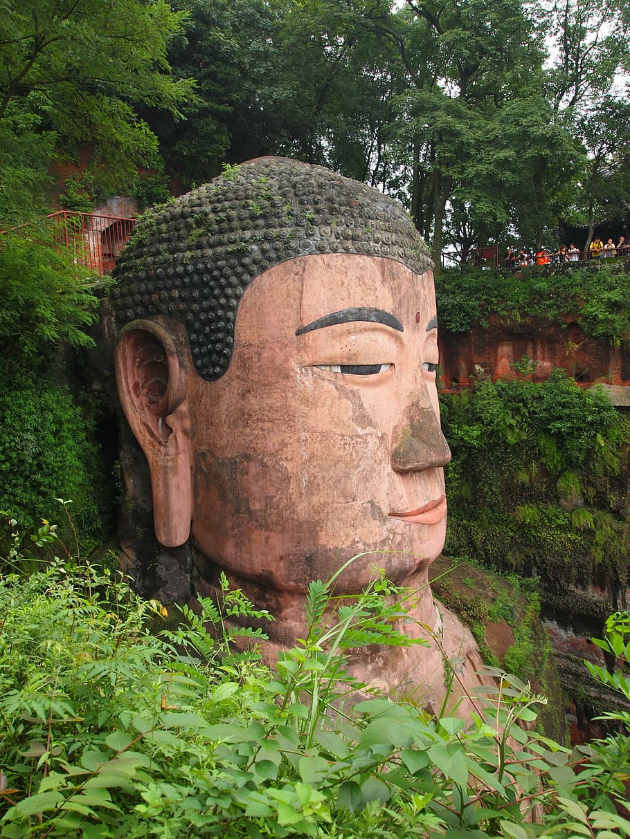 buddha head, leshan, chengdu, china, temple, sculpture, plant, statue, art and craft, representation