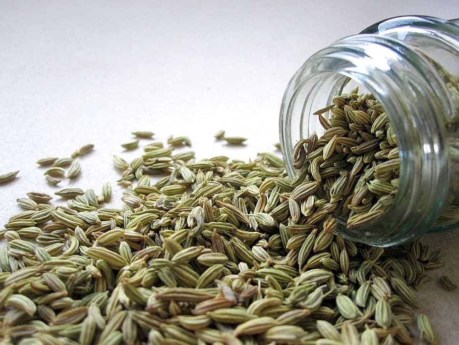 brown seed lot, Fennel, Seeds, Spice, Spill, Jar, Glass, cooking, food, seed