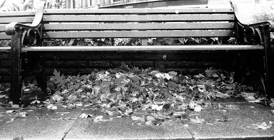 Fall, Bench, Leaves, Seat, park, autumn, pile, empty, beneath, seasons