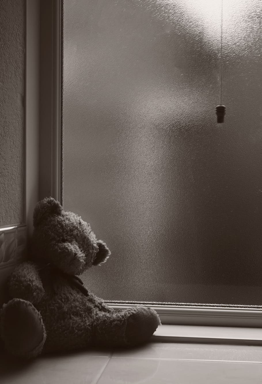 brown, plush, lean, wall, window, Abandoned, Cold, Bear, Toy, teddy