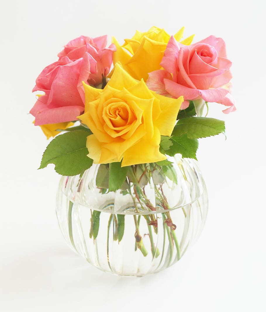 pink, yellow, flowers decor, crystal vase, flowers, roses, blossom, bloom, bouquet, nature