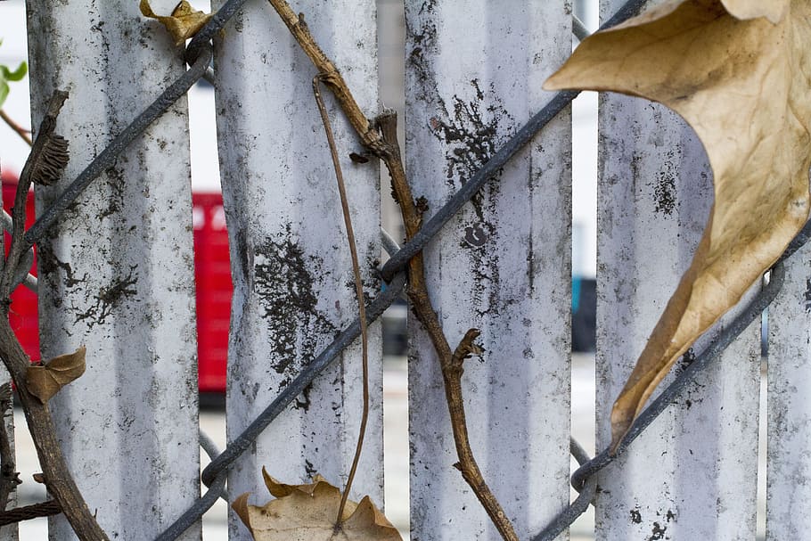 fence, dirty, rustic, leaf, grit, texture, metal, closeup, grunge, day