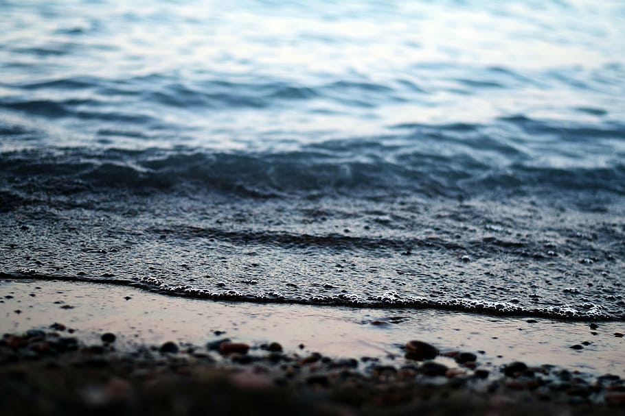 foto, corpo, agua, batendo, linha da costa, marrom, arenoso, curto, natureza, praia