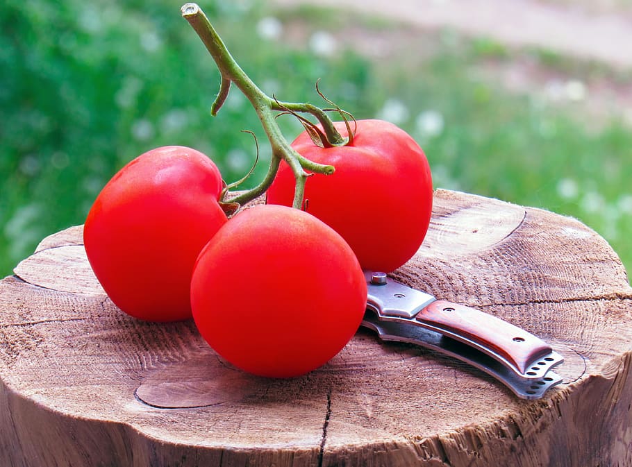 comida, natureza, saudável, tomate, natureza morta, nutrição, plano de krupnyj, suculento, frescura, antioxidantes