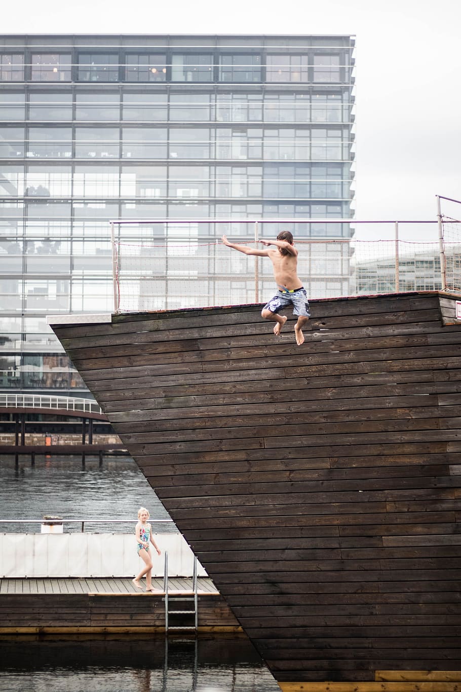 copenhagen, jump, water, happy, cold, marsupial, animal, denmark, kangaroo, jumping