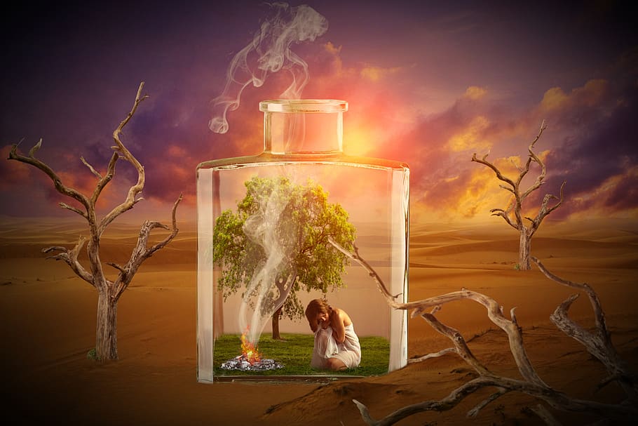 vidrio, botella, desierto, mujer, humana, árboles, sequía, naturaleza, paisaje, humo