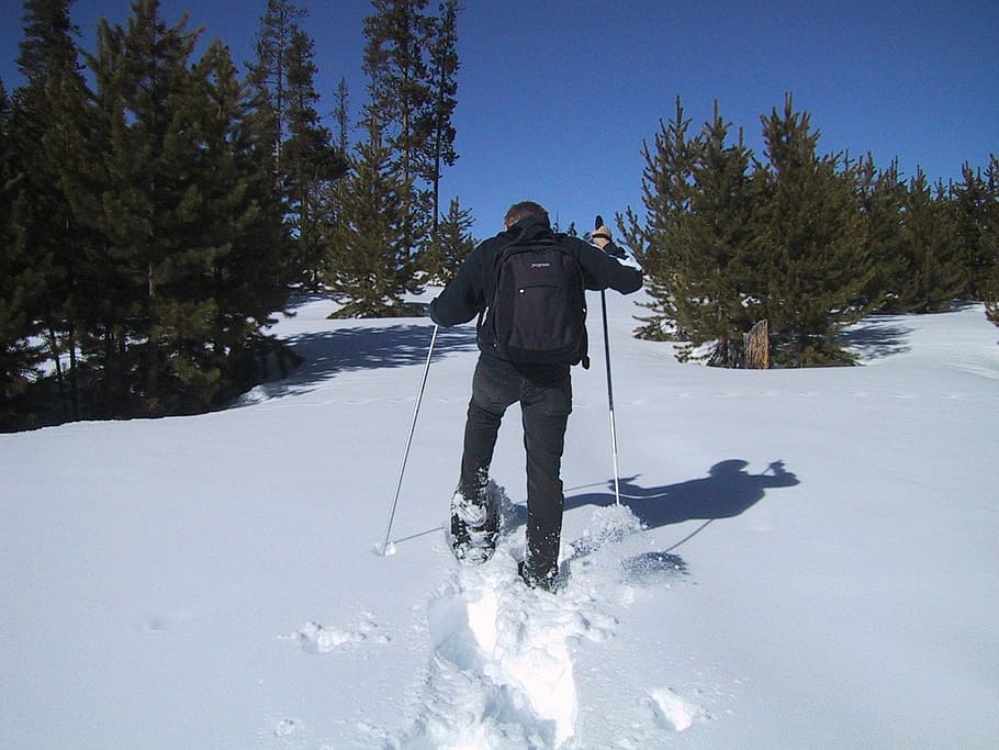 sepatu salju, salju, hiking, olahraga, pergi, tongkat, jejak, salju tebal, gunung, musim dingin