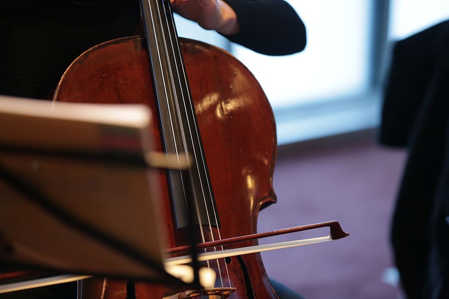 violín marrón, música, violonchelo, instrumento, clásico, instrumento musical, arte cultura y entretenimiento, músico, actuación, música clásica