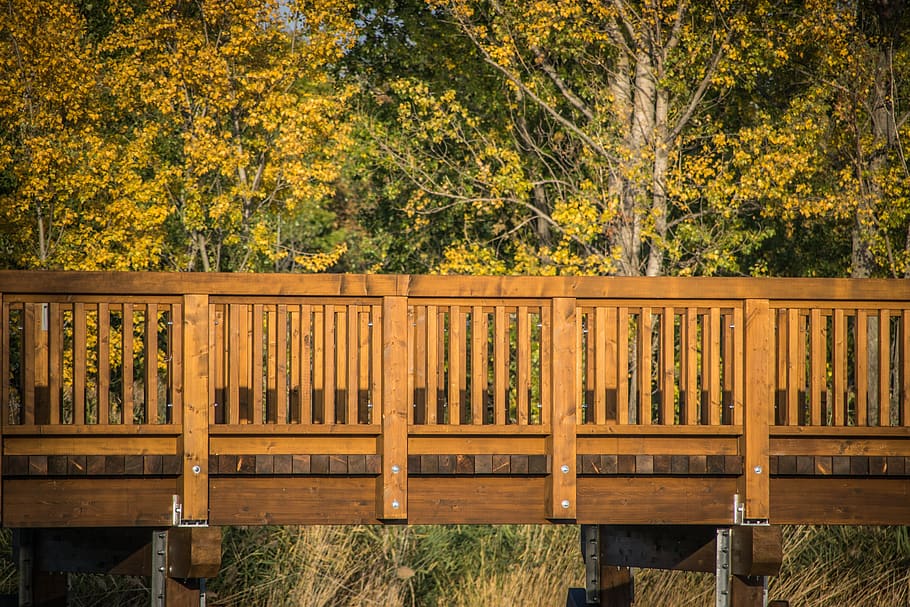 footbridge, wood, bridge, landscape, wooden, trail, trees, park, transition, autumn