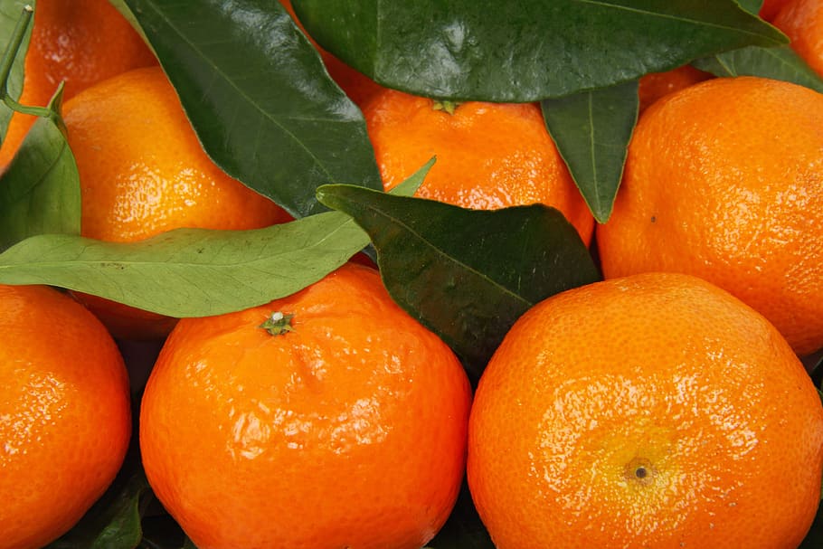 jeruk, clementine, makanan, segar, buah, sehat, terisolasi, berair, daun, mandarin