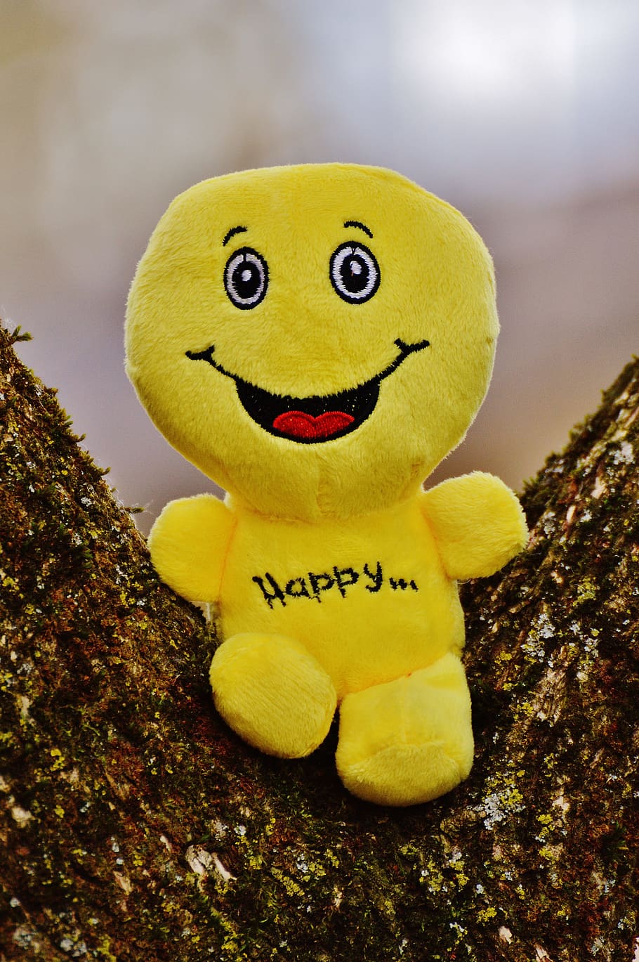 黄色 幸せ ぬいぐるみ おもちゃ 木材 スマイリー 笑い 顔文字 面白い 感情 Pxfuel
