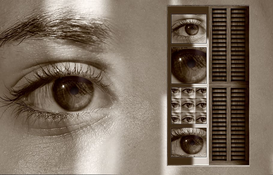 grayscale photo, person, eye, eyes, see, point of view, window, sensation, charm, stimuli