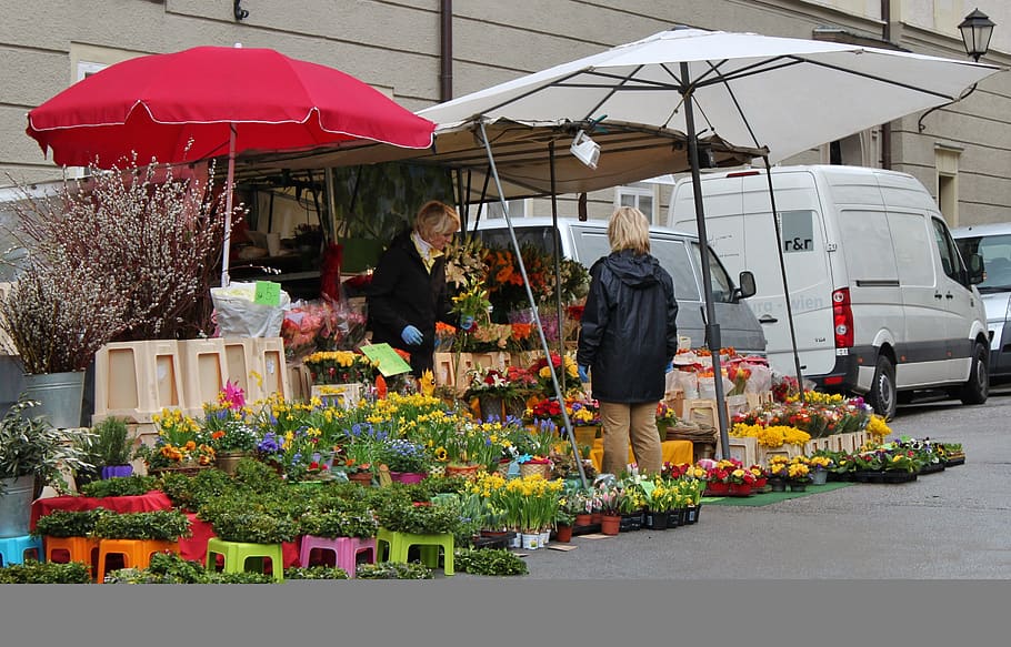 market, market day, flowers was, market umbrellas, sale, sales ...