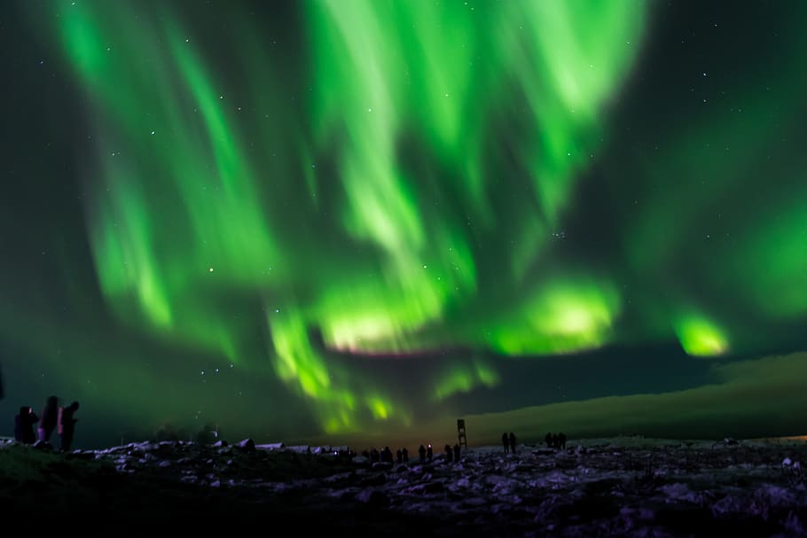 norte, luzes, nighttime, aurora boreal, islândia, céu, noite, aurora, fenômeno, astronomia