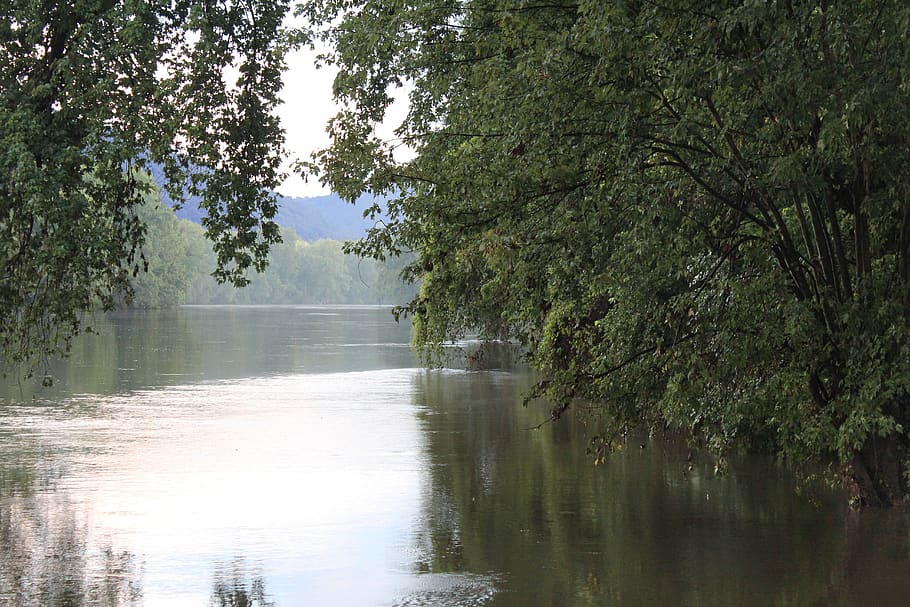 shenandoah river, shenandoah valley, water, misty, waterscape, blue, tranquil, scene, virginia, nature