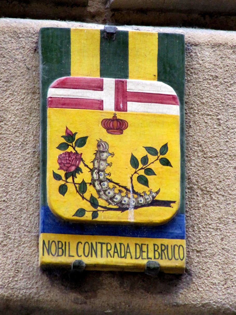 the contrade which caterpillar, siena, palio, horse racing, district, communication, close-up, yellow, text, representation