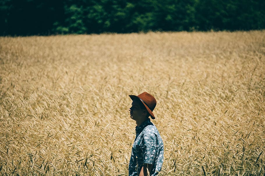 hombre, en pie, campo de trigo, vistiendo, azul, camisa, marrón, vaquero, sombrero, hierba