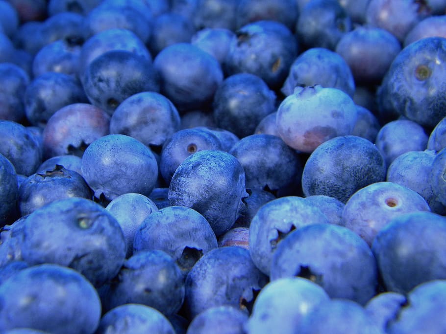 blueberry, buah-buahan, sehat, makanan, makanan dan minuman, makan sehat, kesejahteraan, buah, bingkai penuh, kesegaran