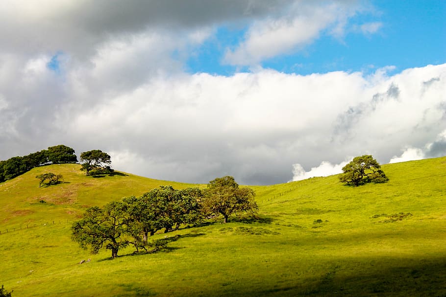 landscape photo, trees, nimbus clouds, california, usa, hills, travel, america, city, scenic