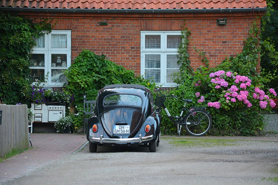 parked, black, volkswagen beetle coupe, front, brick wall house, pink, flowers, technology, vw, beetle