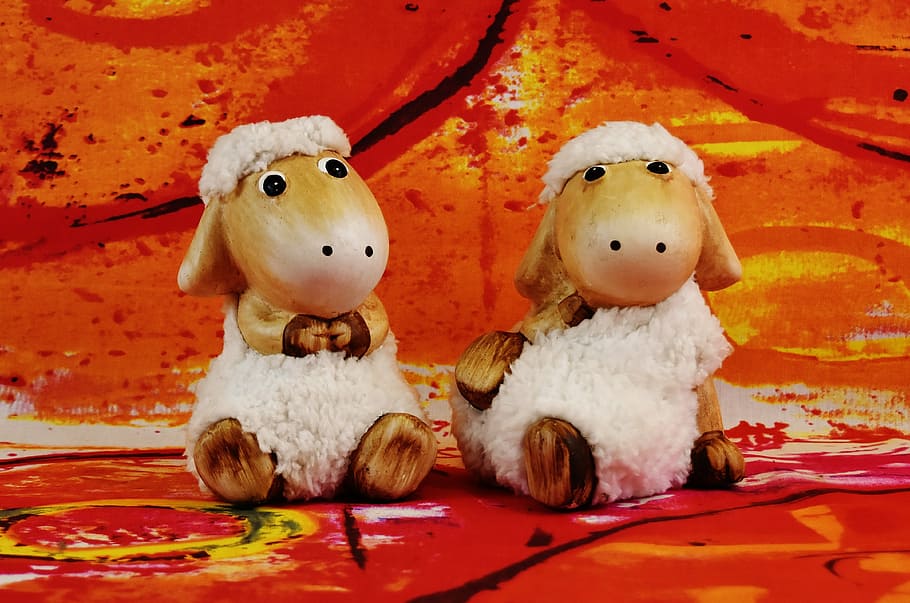 photography, two, white, sheeps, digital, wallpaper, sheep, figures, cute, decoration