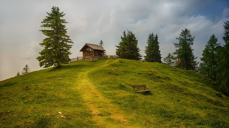 log cabin, hill, grass, green, tree, winter, autumn, path, nature, landscape