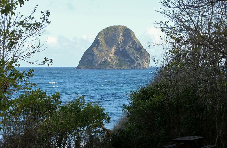 Martinica, diamante, océano, roca de diamante, playa, planta, árbol, agua, belleza en la naturaleza, mar