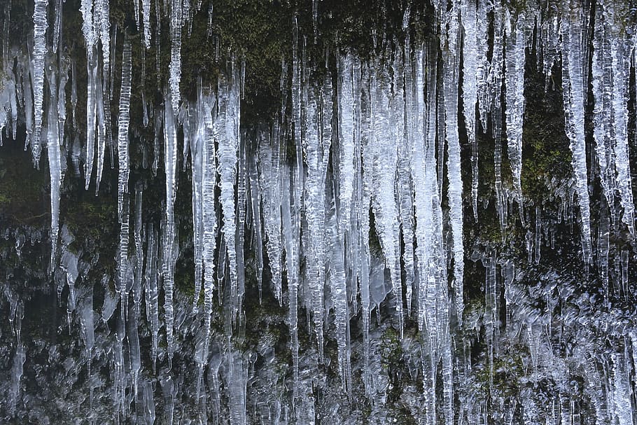 foto de close-up, gelo, neve, inverno, frio, clima, sólido, natureza, planos de fundo, floresta