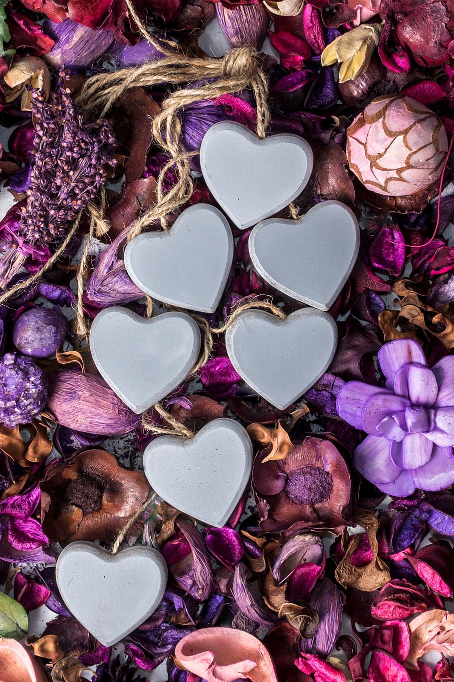 seven, gray, heart decors, valentine's day, heart, flowers, lavender, love, nature, hearts