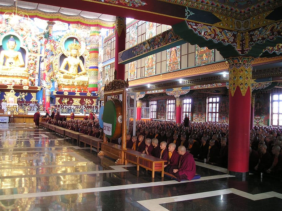 建物内の僧侶, インド, チベット, 寺院, 修道院, 僧侶, 祈り, 歌, 屋内, 旅行先