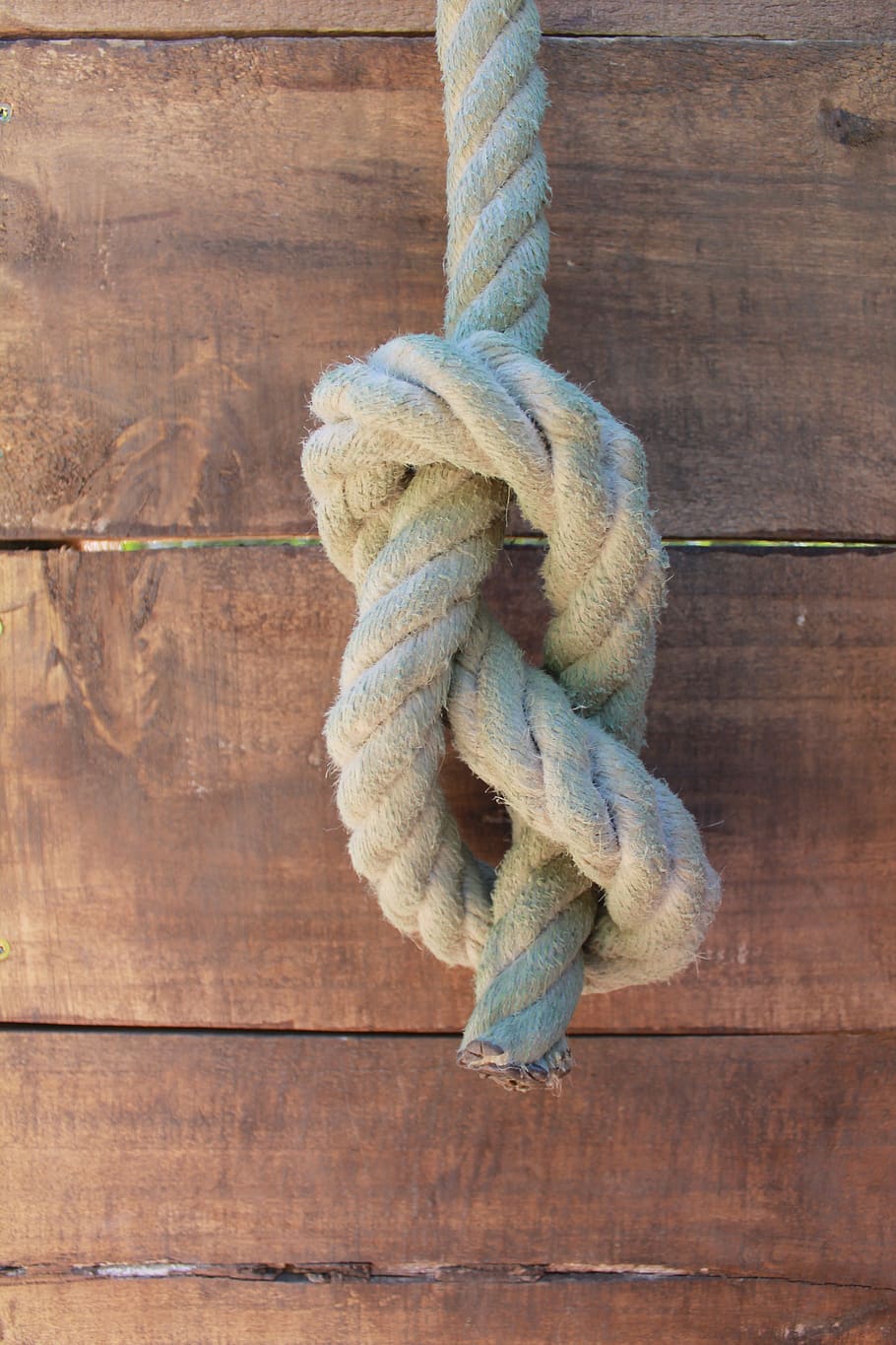 knot, node 8, rope, wood, wood - material, tied up, strength, tied knot, close-up, day