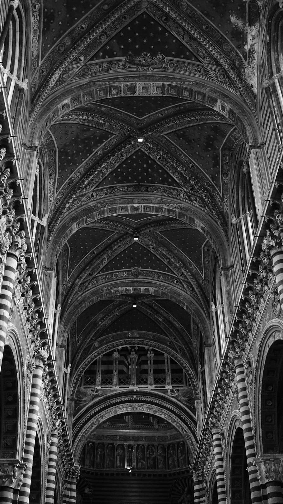 siena, church, tuscany, italy, ceiling, gothic, cathedral, black, white, dome