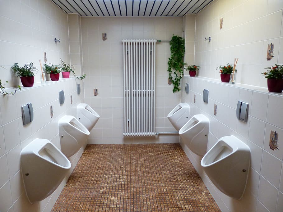 white, ceramic, sinks, Toilet, Wc, Urinal, Public, public toilet, man toilet, loo