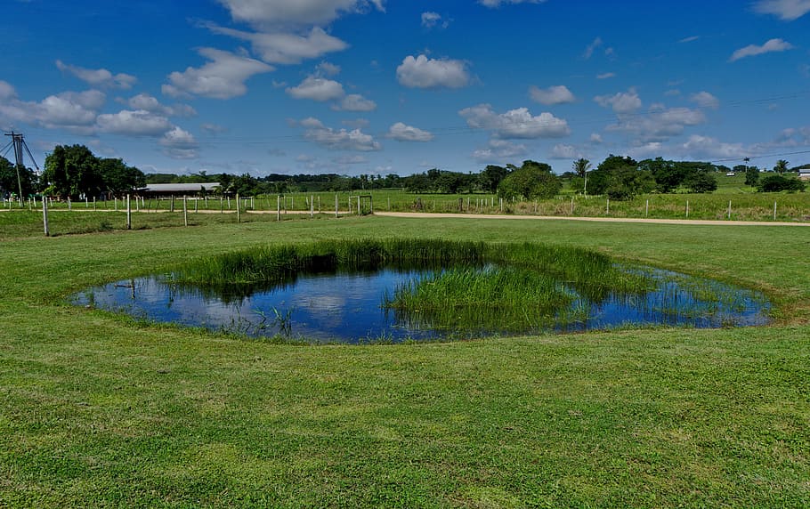 pond, landscape, grass, sky, water, reflection, spring, summer, belize, spanish lookout