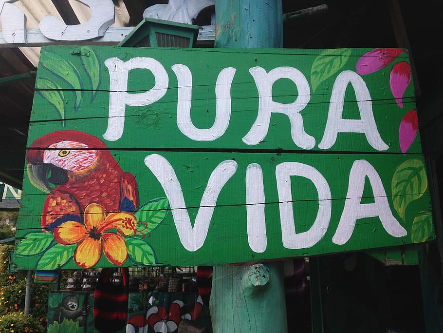 pura vida signage, Costa Rica, Rainforest, Nature, Eco, text, day, communication, outdoors, building exterior