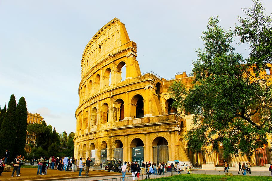 rome, trees, italy, colosseo, coliseum, icon, europe, architecture, city, historic