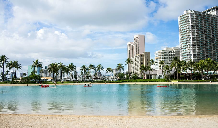 pessoas, montando, barco, corpo, agua, praia de Waikiki, Havaí, Oahu, Honolulu, Praia de Havaí