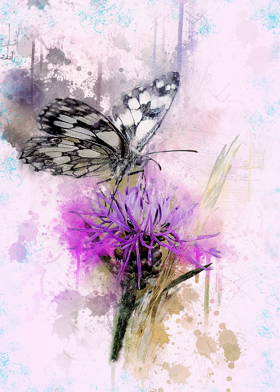 marbled, white, butterfly, purple, petaled flower oil painting, chess board, macro, knapweed, close, insect