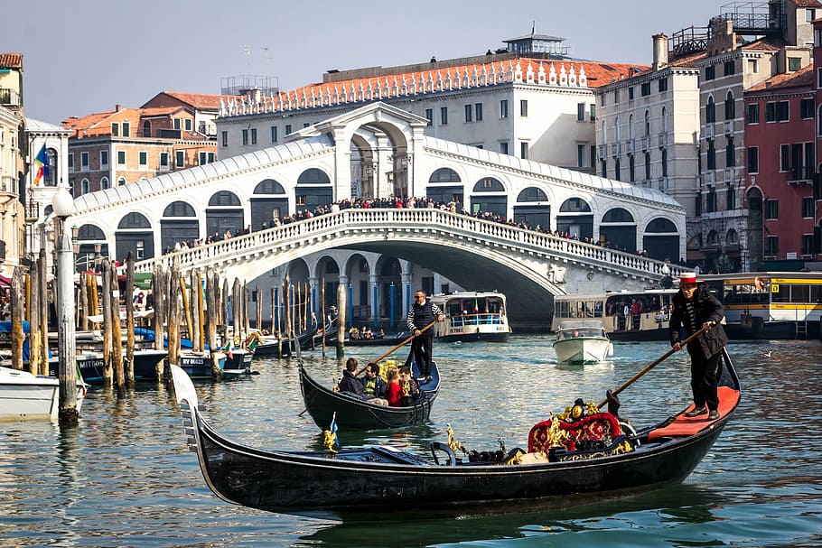 dois, preto, canoas, ponte de rialto, itália, veneza, rialto, ponte, grande canal, gôndola