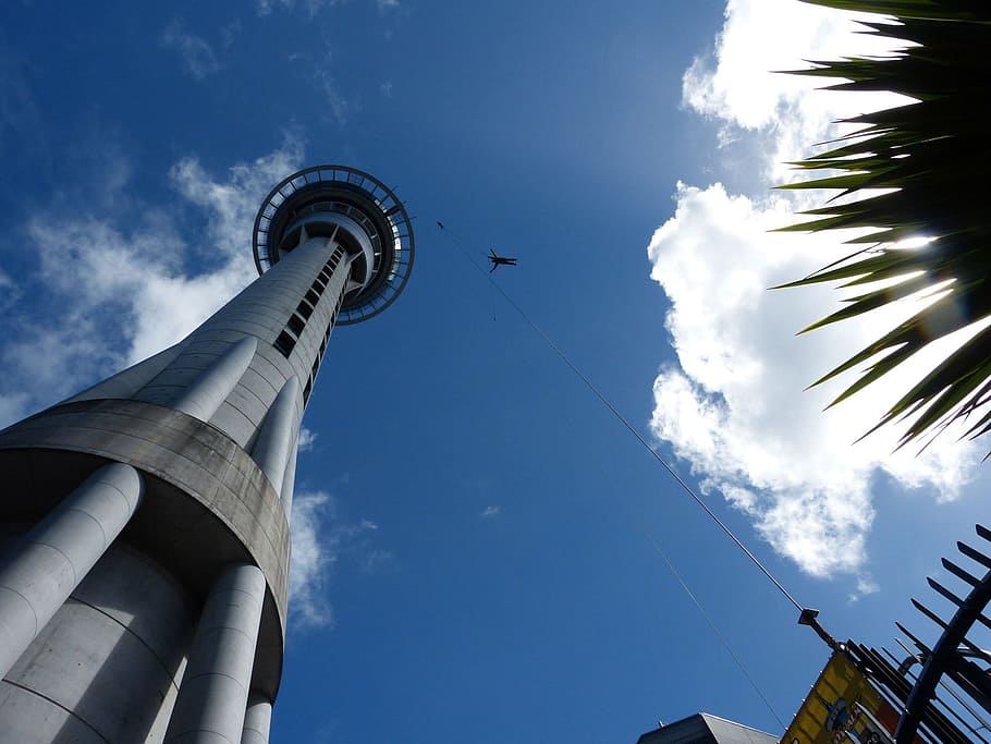 low-angle photography, space needle, daytime, Sky Tower, Auckland, New Zealand, Bungee, sky tower, auckland, jump, architecture