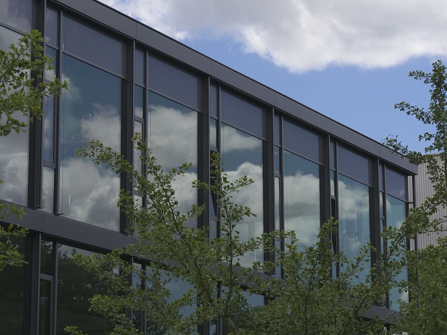 窓 反射 銀杏 雲 建物 ガラス張り 工場 建築 構築された構造 建物の外観 Pxfuel